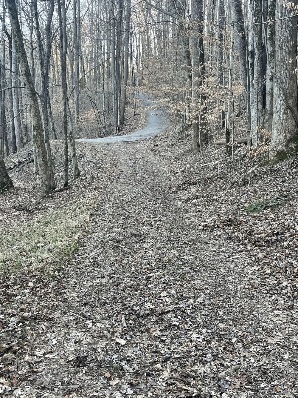 0 Back Bone Rd Sparta, TN 38583