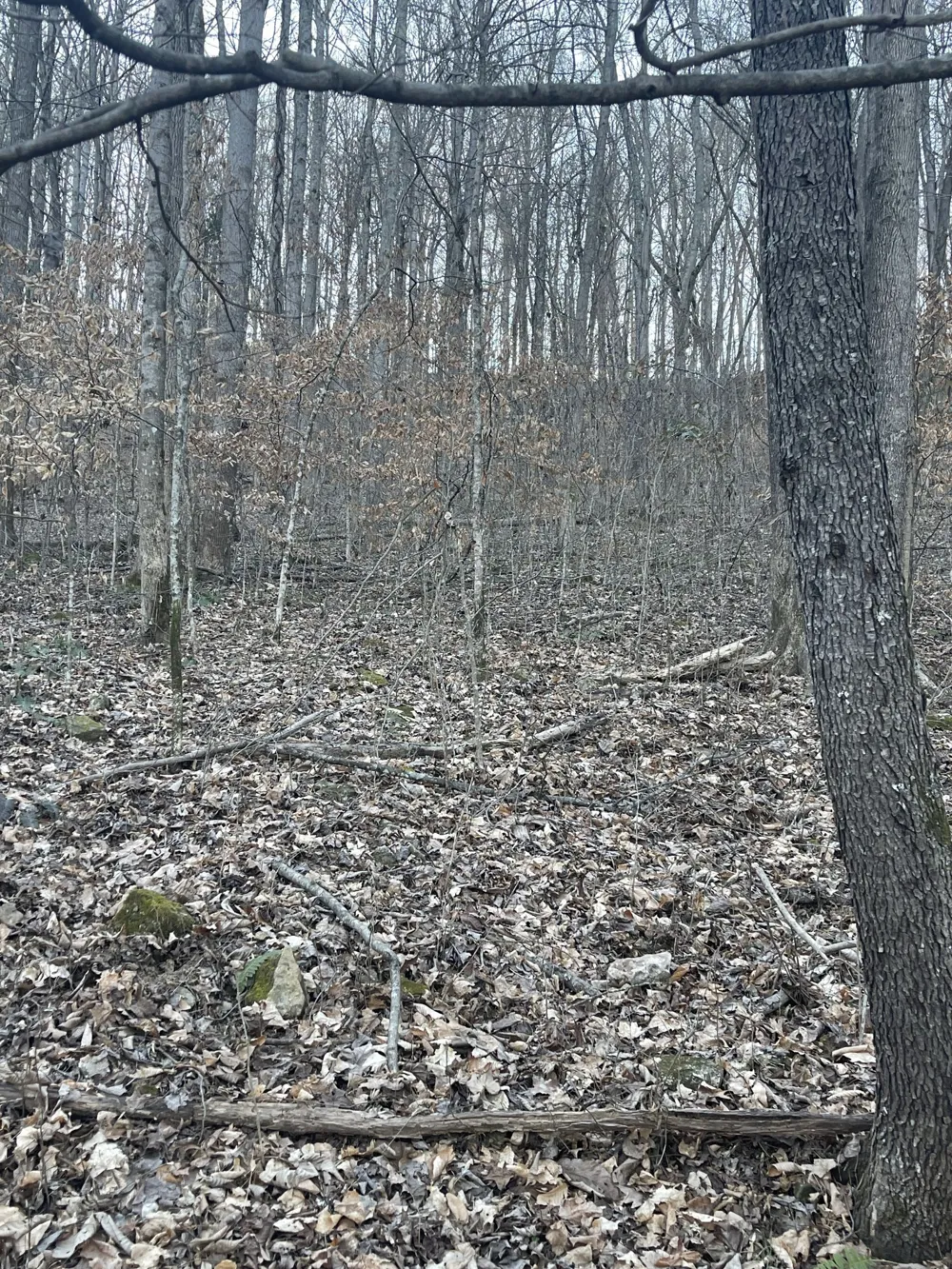 0 Back Bone Rd Sparta, TN 38583