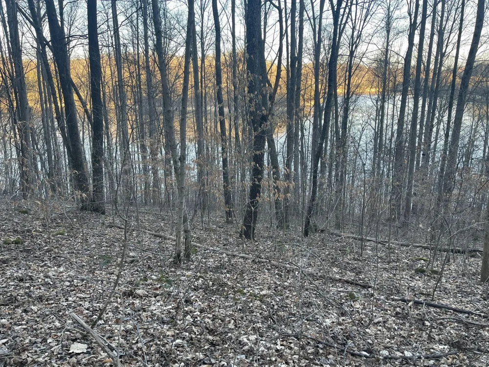 0 Back Bone Rd Sparta, TN 38583