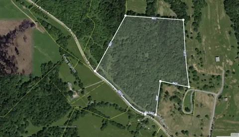 0 Love Branch Road