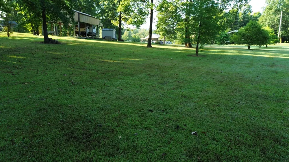 17 Clearwater Cr Bath Springs, TN 38311