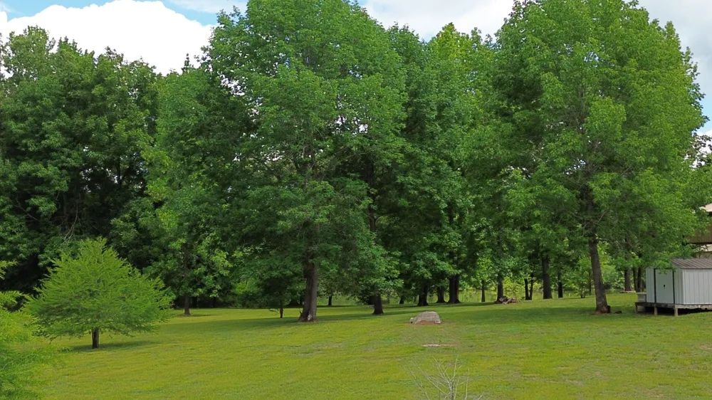 17 Clearwater Cr Bath Springs, TN 38311