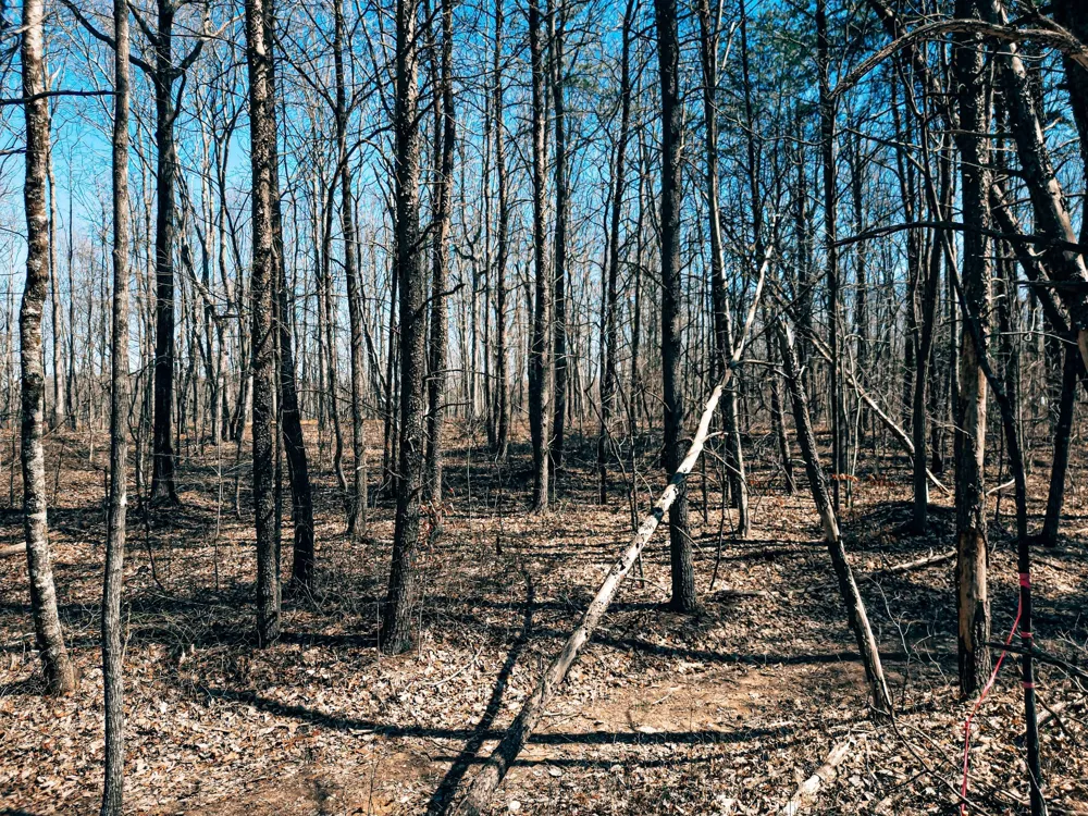 73 Twilight Pt Monteagle, TN 37356
