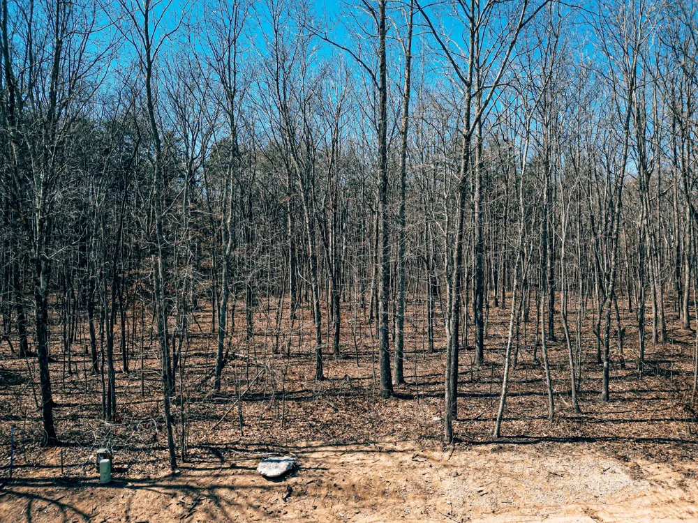 73 Twilight Pt Monteagle, TN 37356
