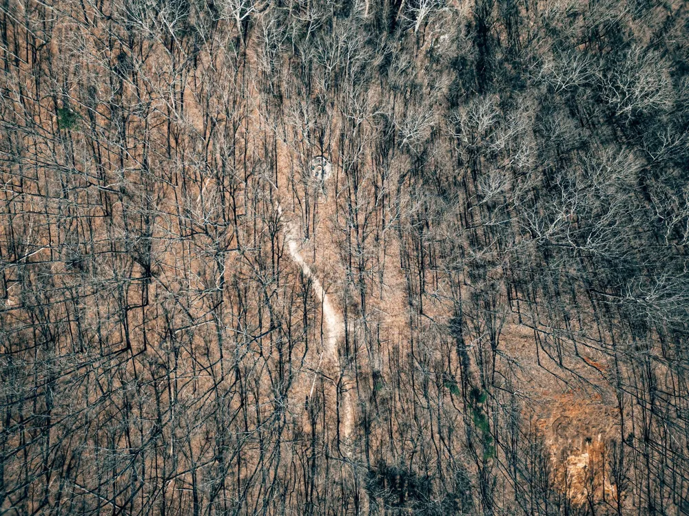 73 Twilight Pt Monteagle, TN 37356