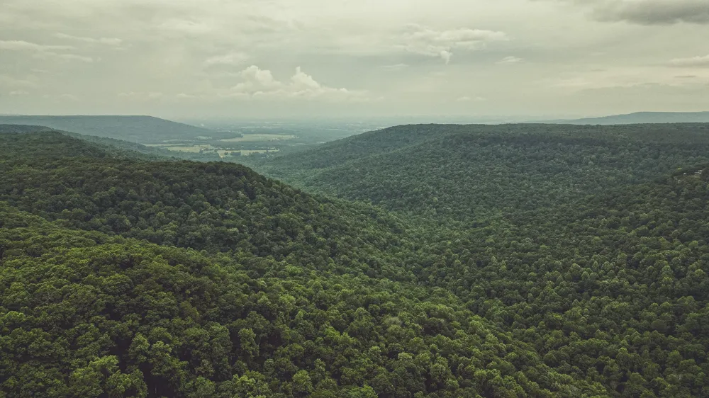 73 Twilight Pt Monteagle, TN 37356