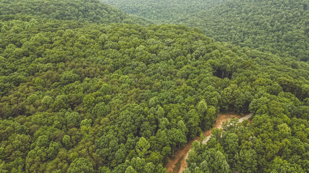 73 Twilight Pt Monteagle, TN 37356