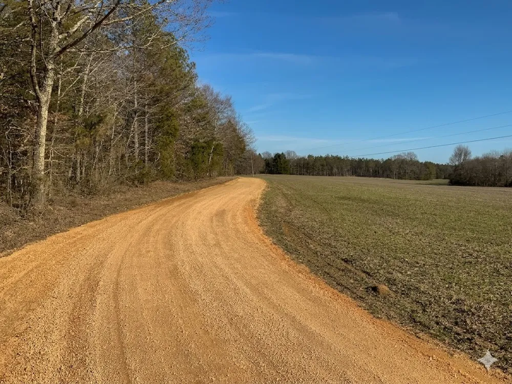 0 Doe Road Saltillo, TN 38370