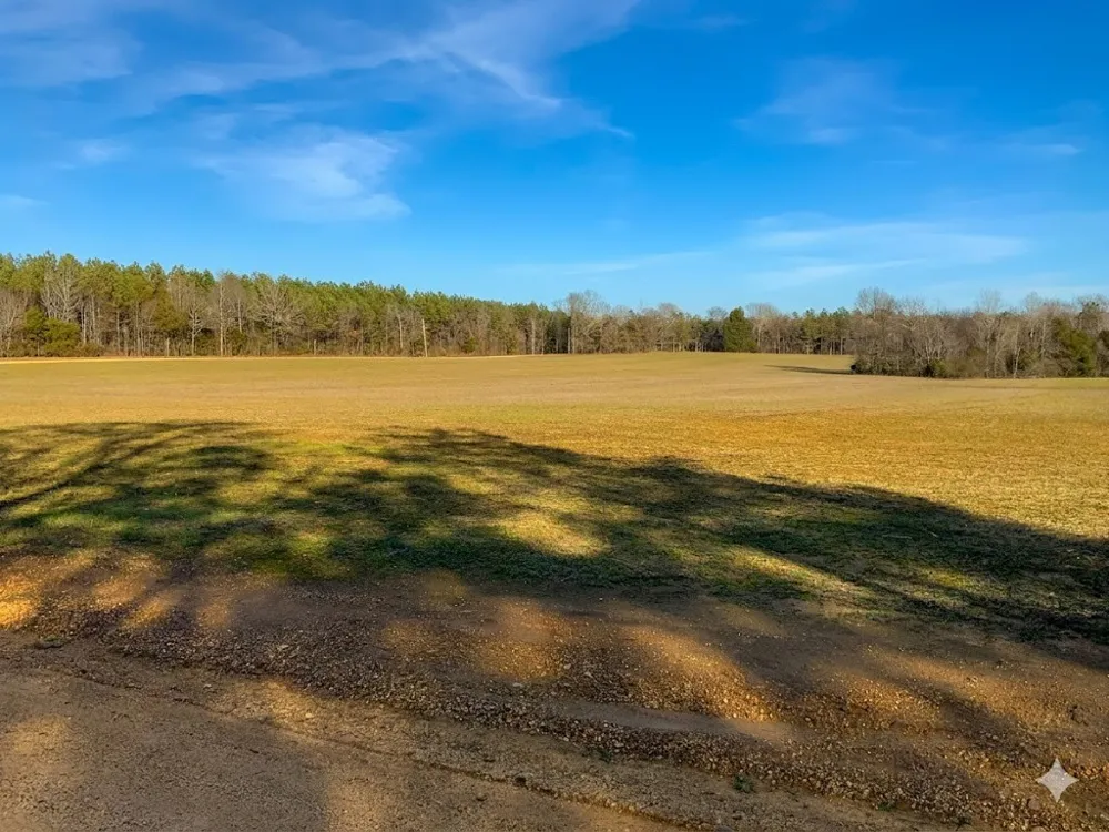 0 Doe Road Saltillo, TN 38370