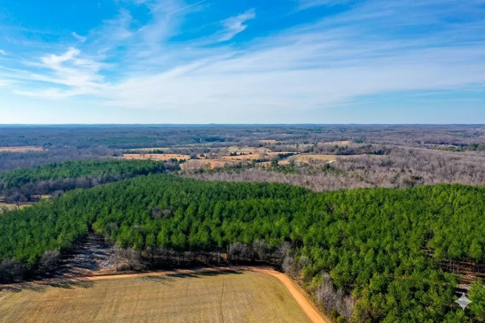 0 Doe Road Saltillo, TN 38370
