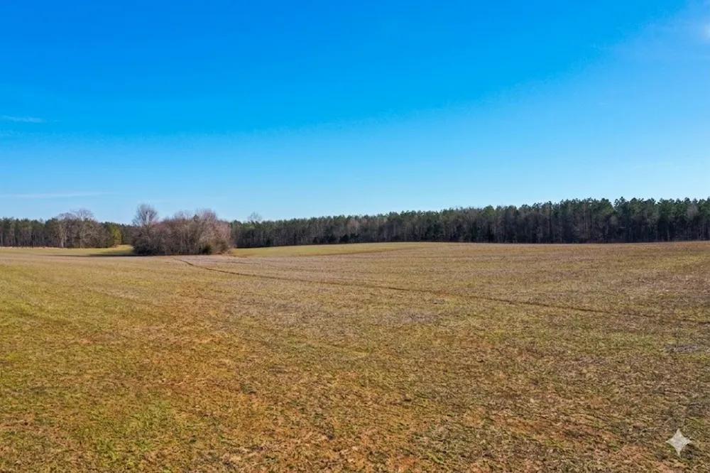 0 Doe Road Saltillo, TN 38370