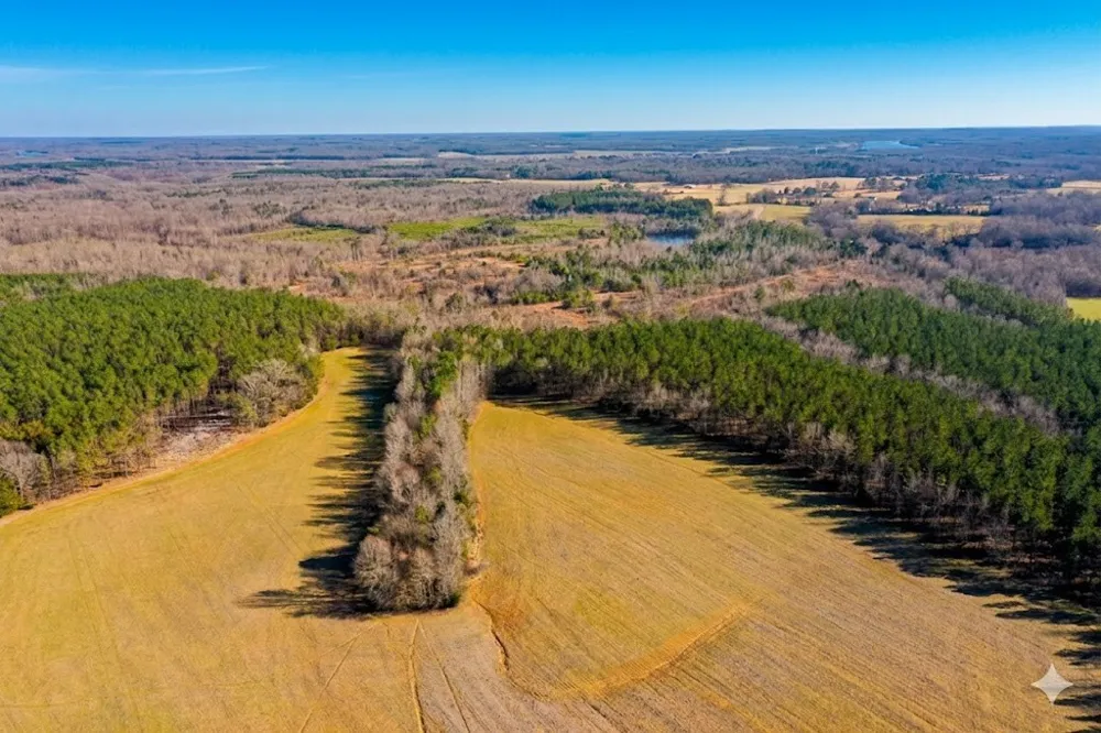 0 Doe Road Saltillo, TN 38370