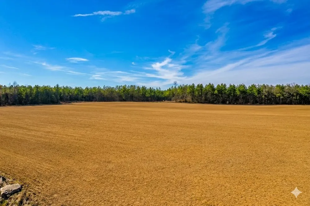 0 Doe Road Saltillo, TN 38370