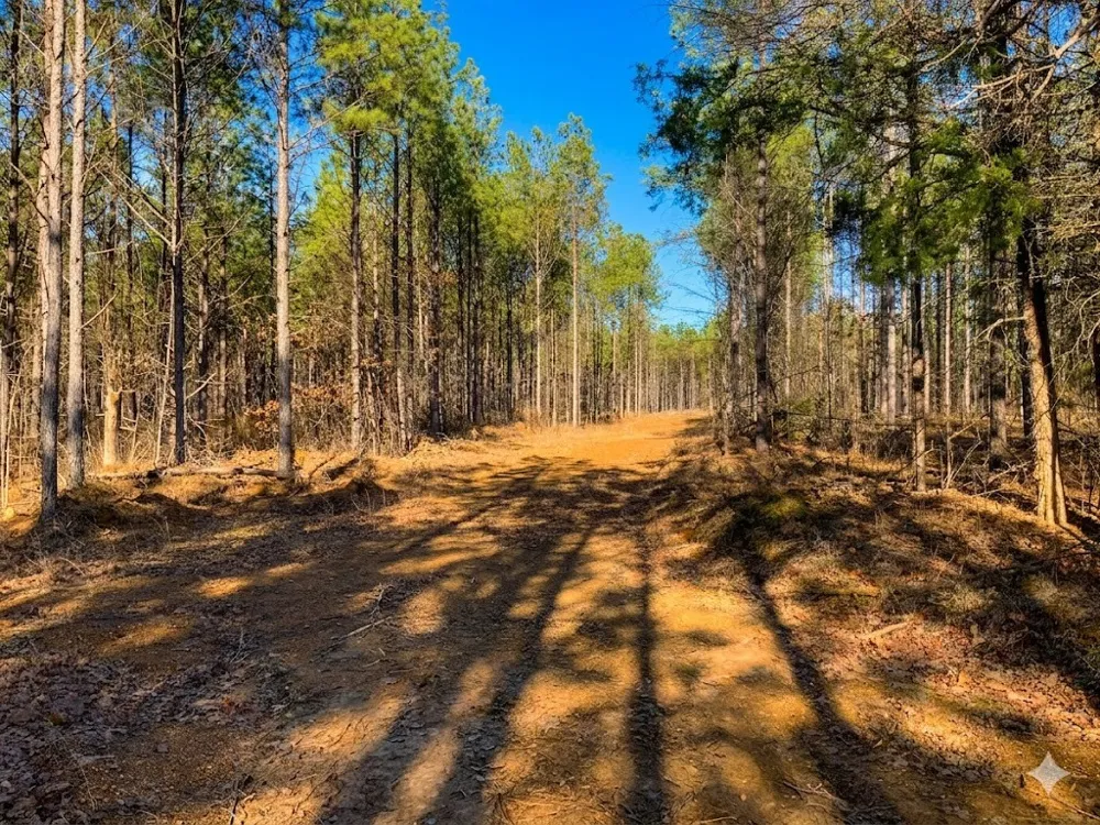 0 Doe Road Saltillo, TN 38370