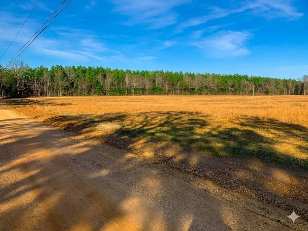 0 Doe Road Saltillo, TN 38370