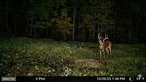 0 Elk Drive