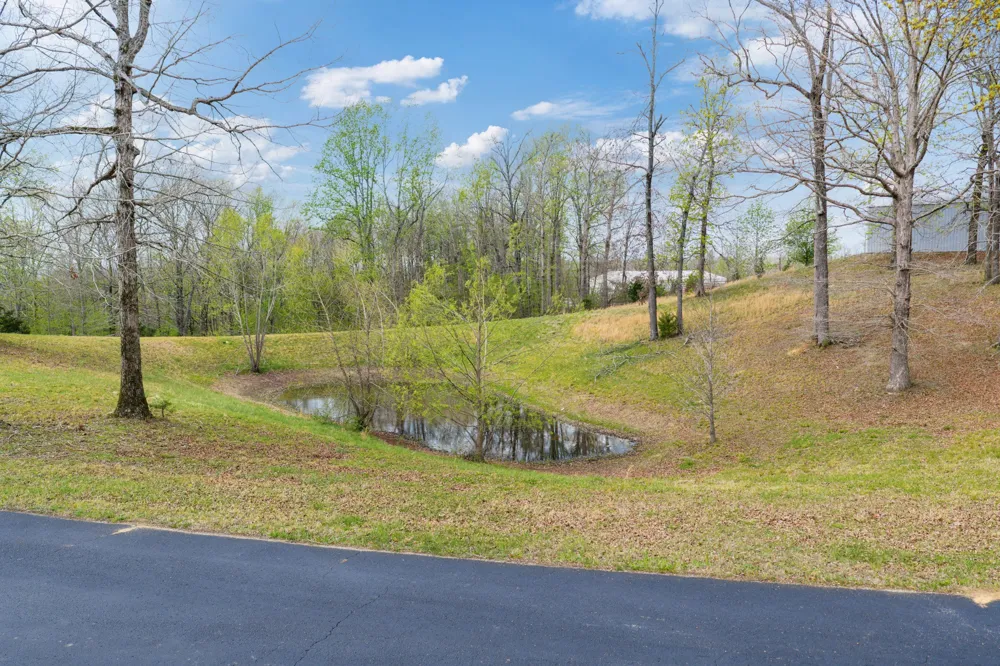 272 RIVERS EDGE DR Bath Springs, TN 38311