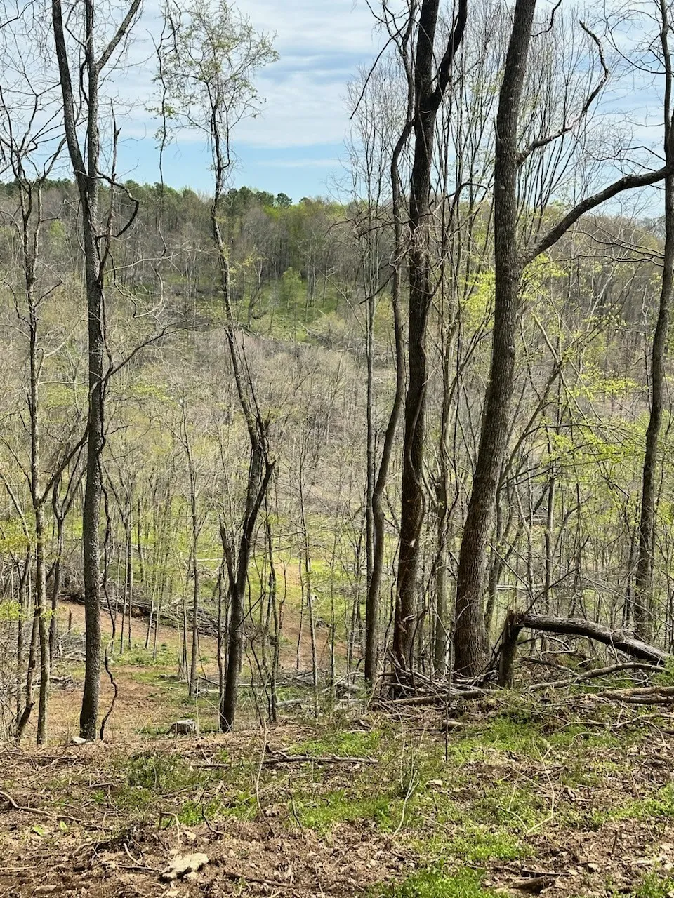 0 Campbellsville Road Pulaski, TN 38478