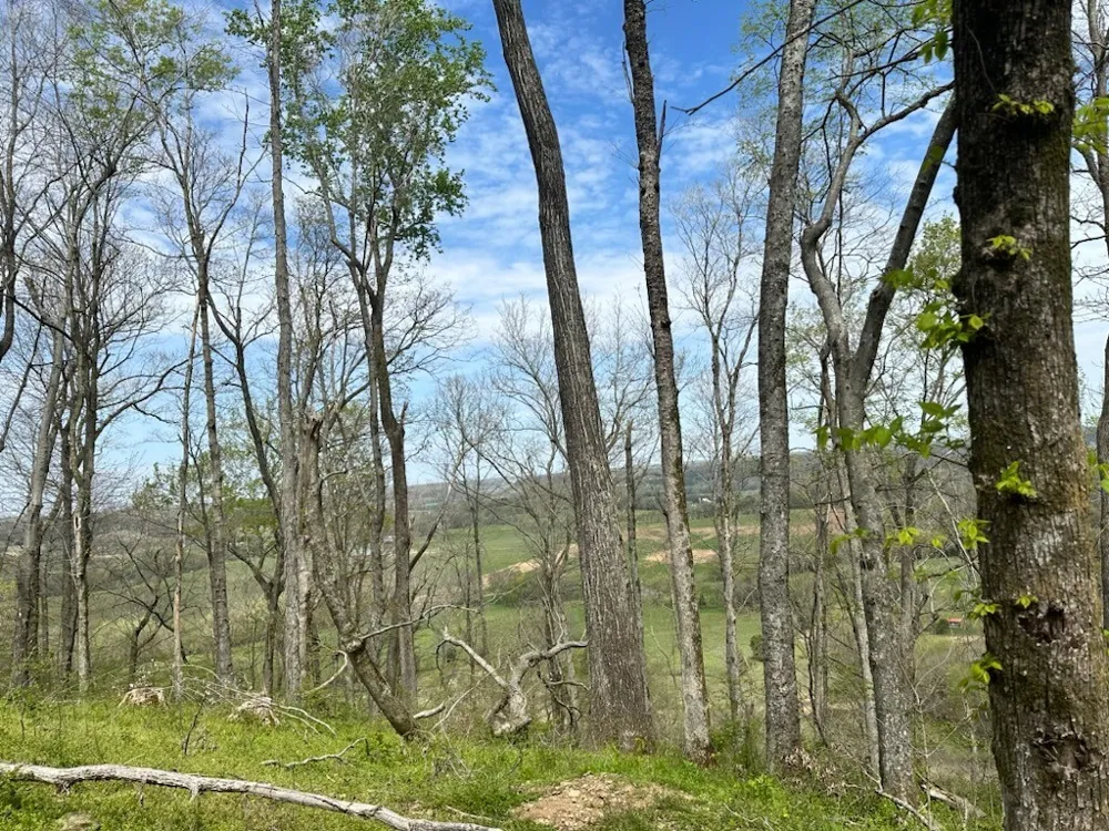 0 Campbellsville Road Pulaski, TN 38478