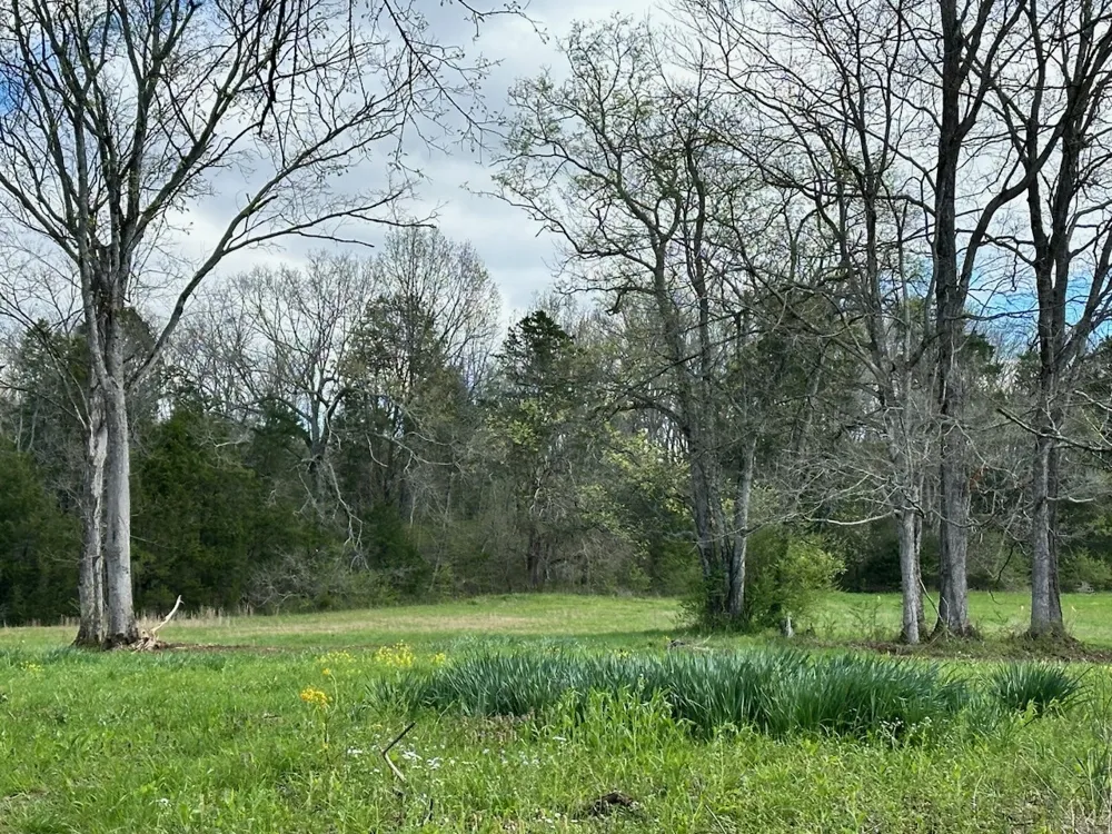 0 Campbellsville Road Pulaski, TN 38478