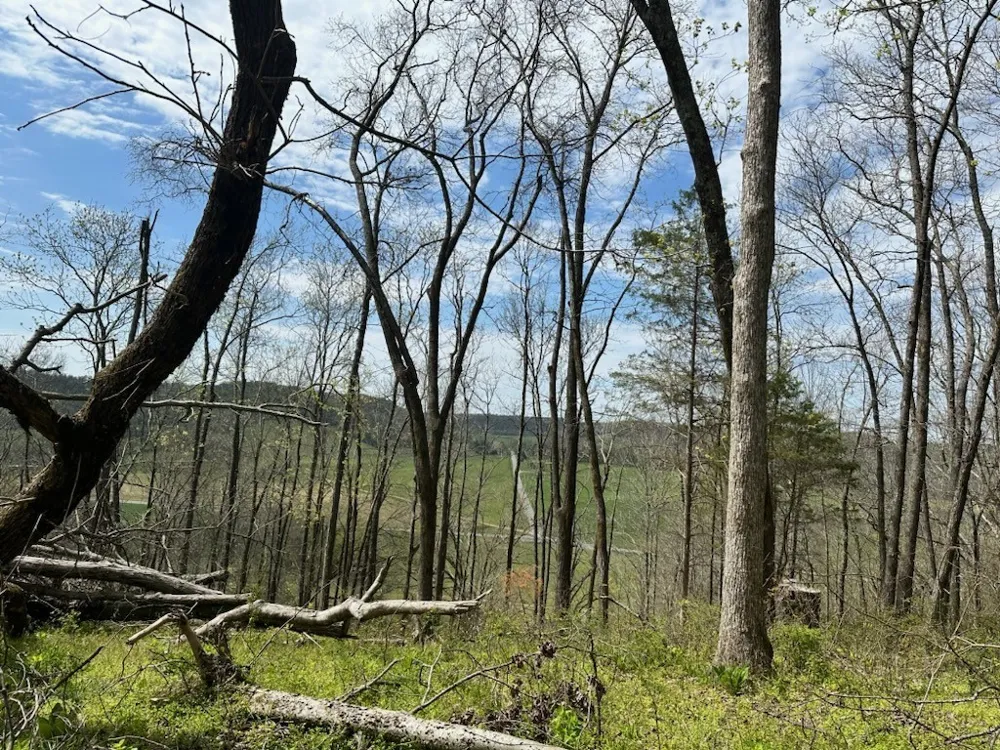 0 Campbellsville Road Pulaski, TN 38478