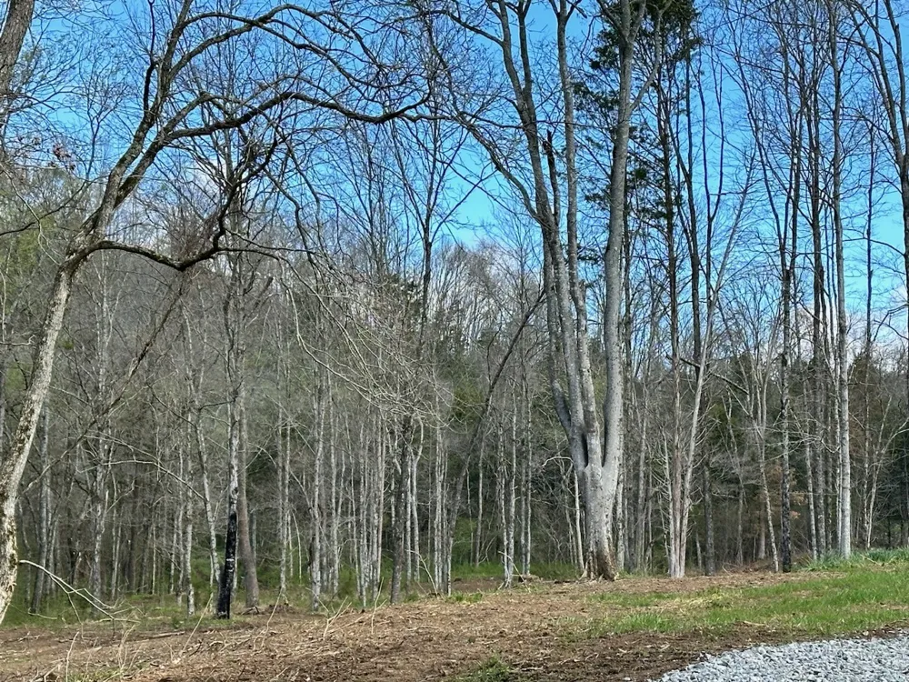 0 Campbellsville Road Pulaski, TN 38478