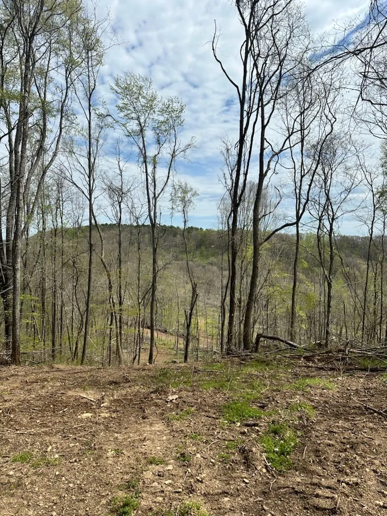 0 Campbellsville Road Pulaski, TN 38478