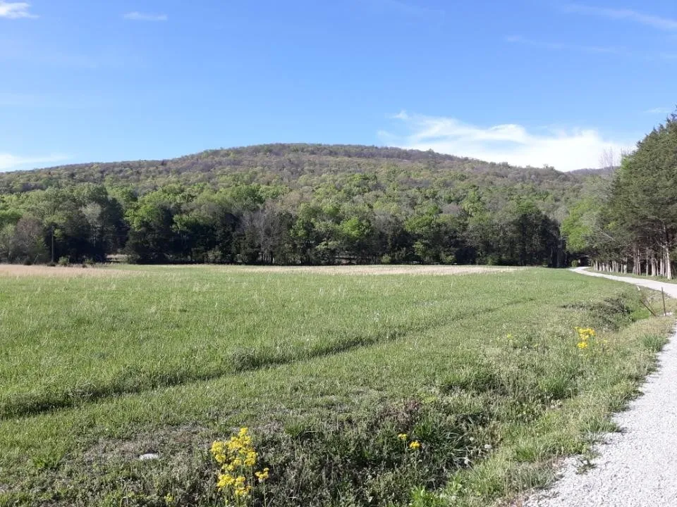 0 Hawkins Cove Rd Cowan, TN 37318