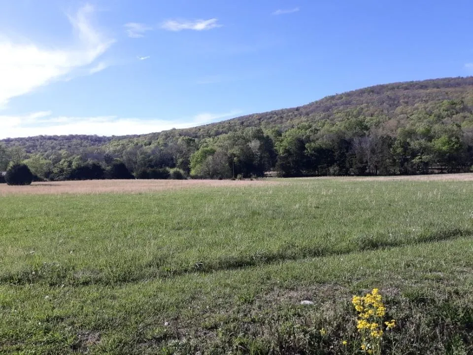 0 Hawkins Cove Rd Cowan, TN 37318