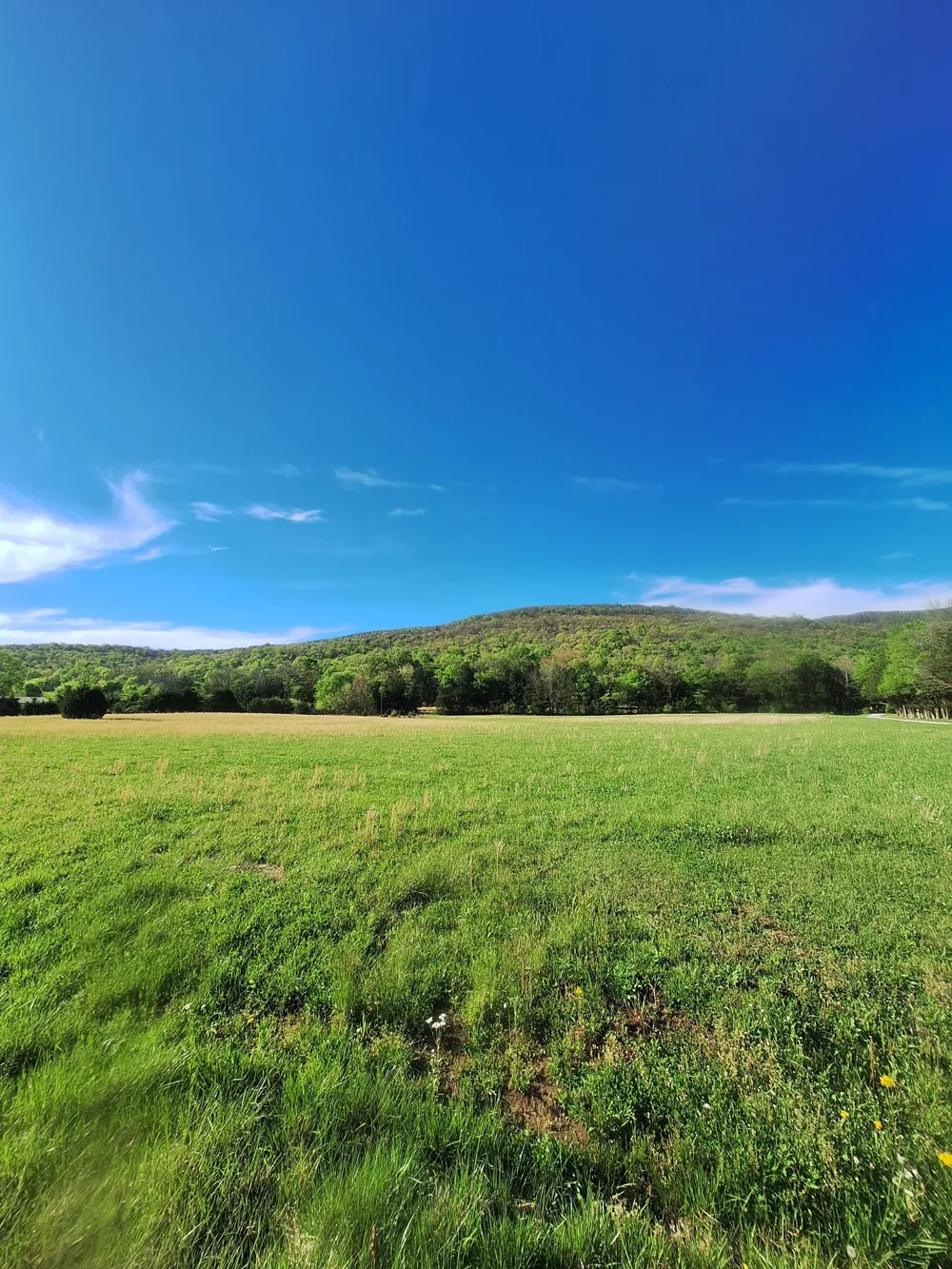 0 Hawkins Cove Rd Cowan, TN 37318