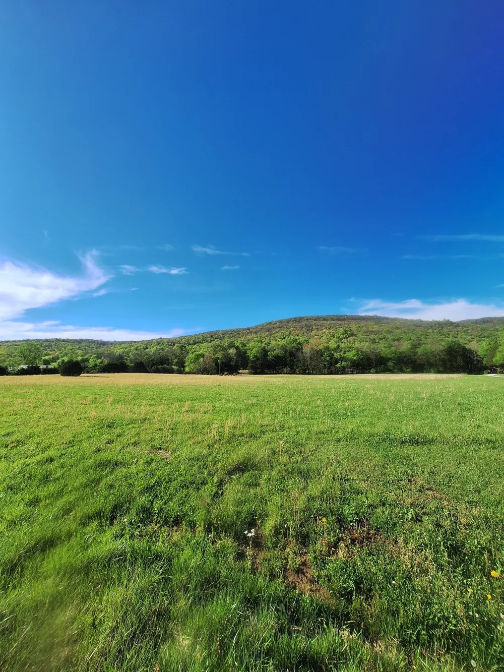 0 Hawkins Cove Rd Cowan, TN 37318