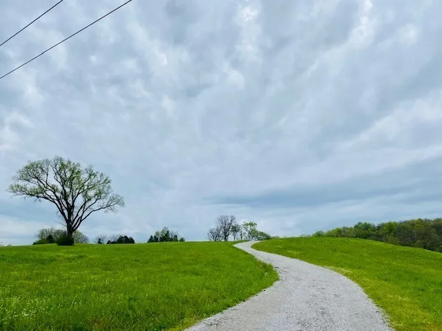 226 Jmz Dr Gordonsville, TN 38563