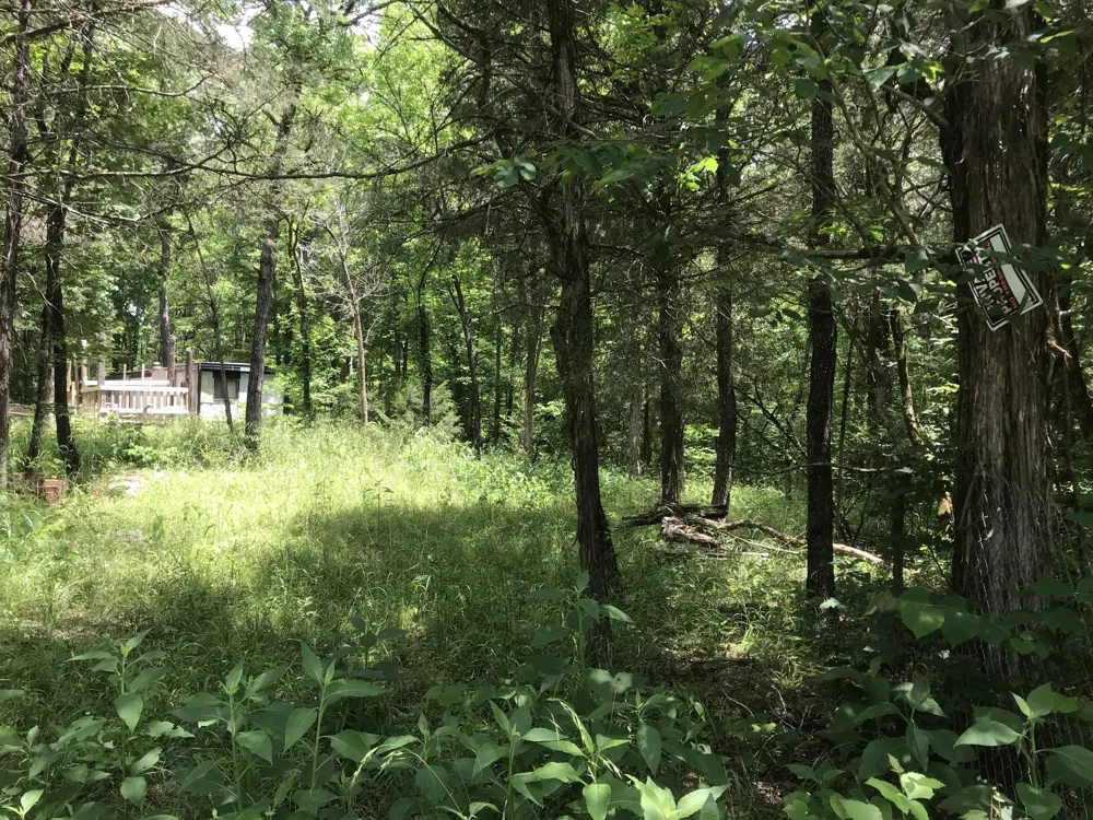 1989 Luther Sharp Rd Columbia, TN 38401