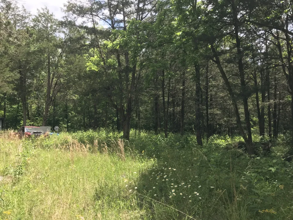 1989 Luther Sharp Rd Columbia, TN 38401