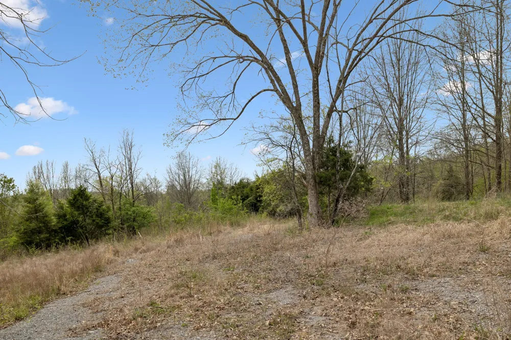 0 Gibbs Lane Gallatin, TN 37066