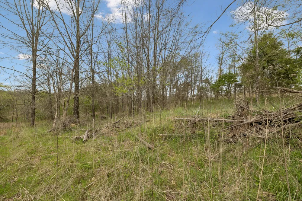 0 Gibbs Lane Gallatin, TN 37066