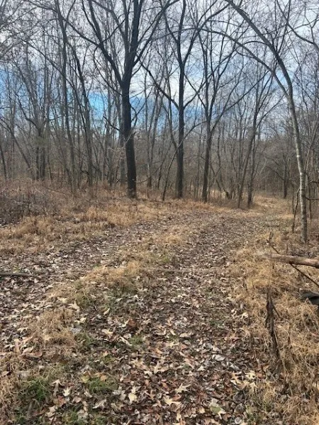 0 Mayo Rd Adams, TN 37010