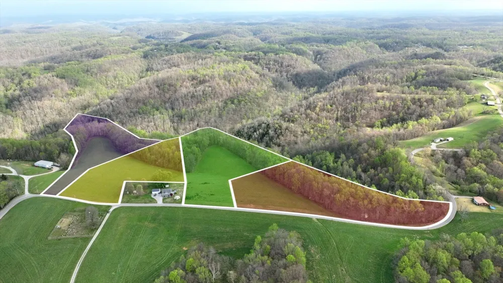 0 Clemons Ridge Rd Silver Point, TN 38582
