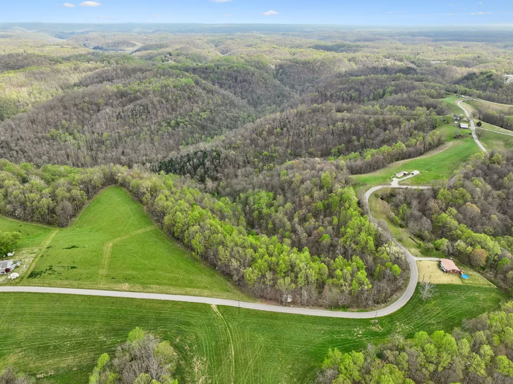 0 Clemons Ridge Rd Silver Point, TN 38582