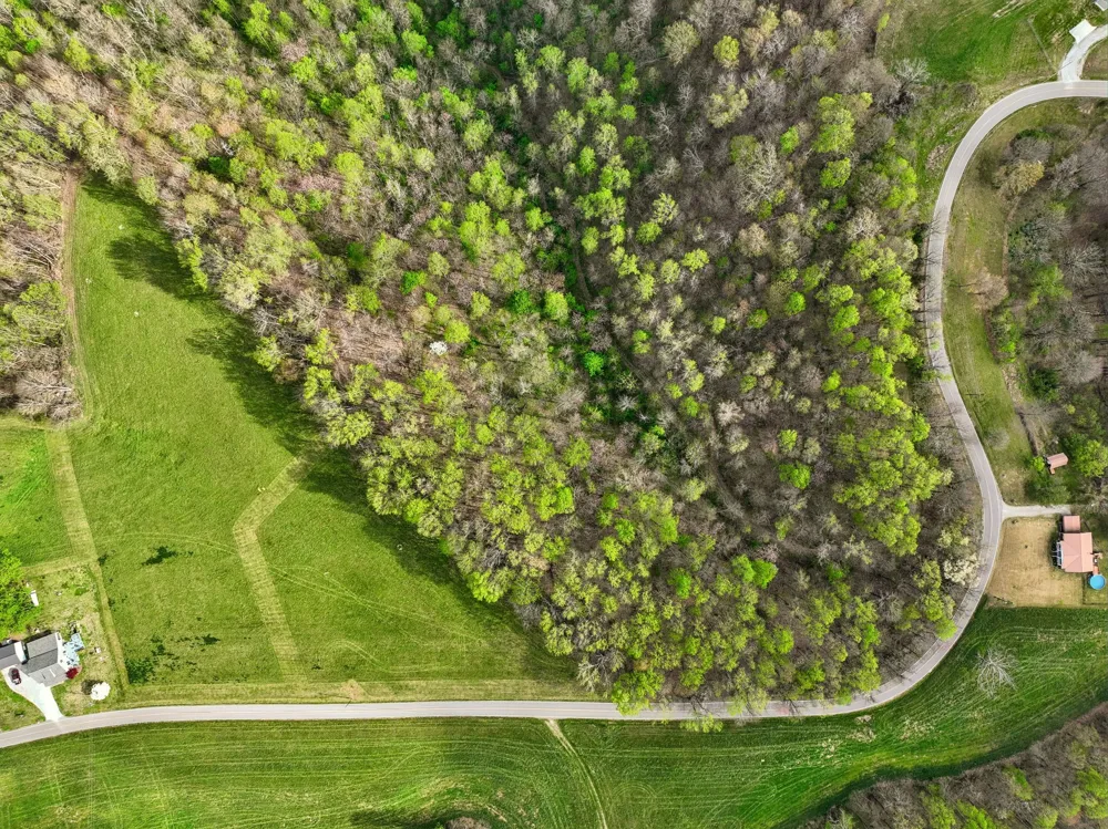 0 Clemons Ridge Rd Silver Point, TN 38582