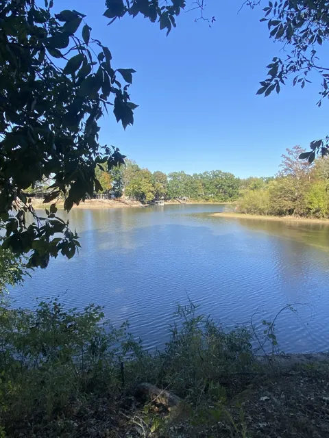442 Duck Blind Rd