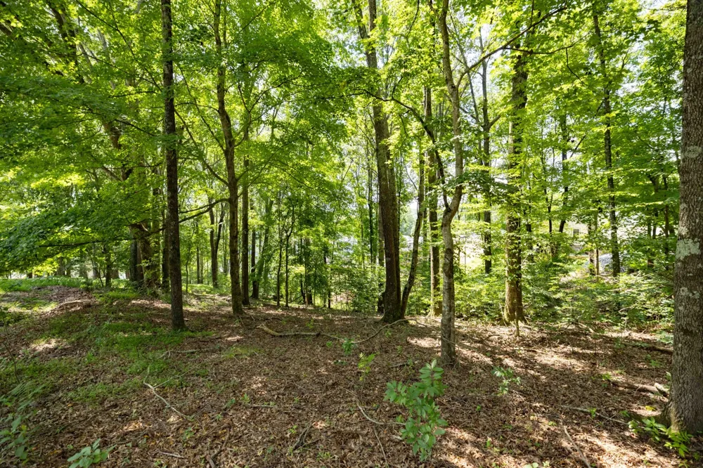 0 E Rockcrest Cir Winchester, TN 37398