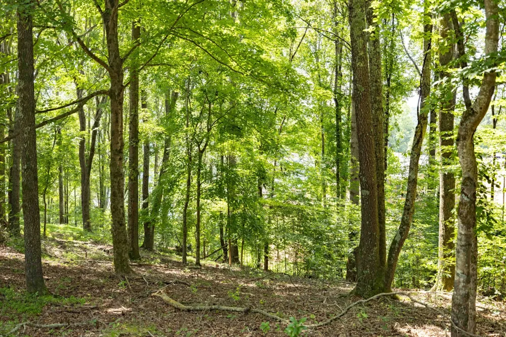 0 E Rockcrest Cir Winchester, TN 37398