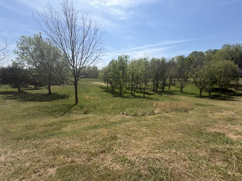 11505 McMinnville Hwy Walling, TN 38587