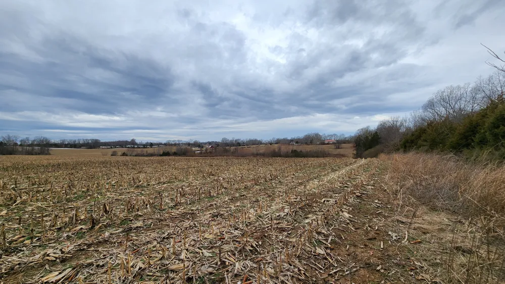 55 Indian Mound Rd Sparta, TN 38583