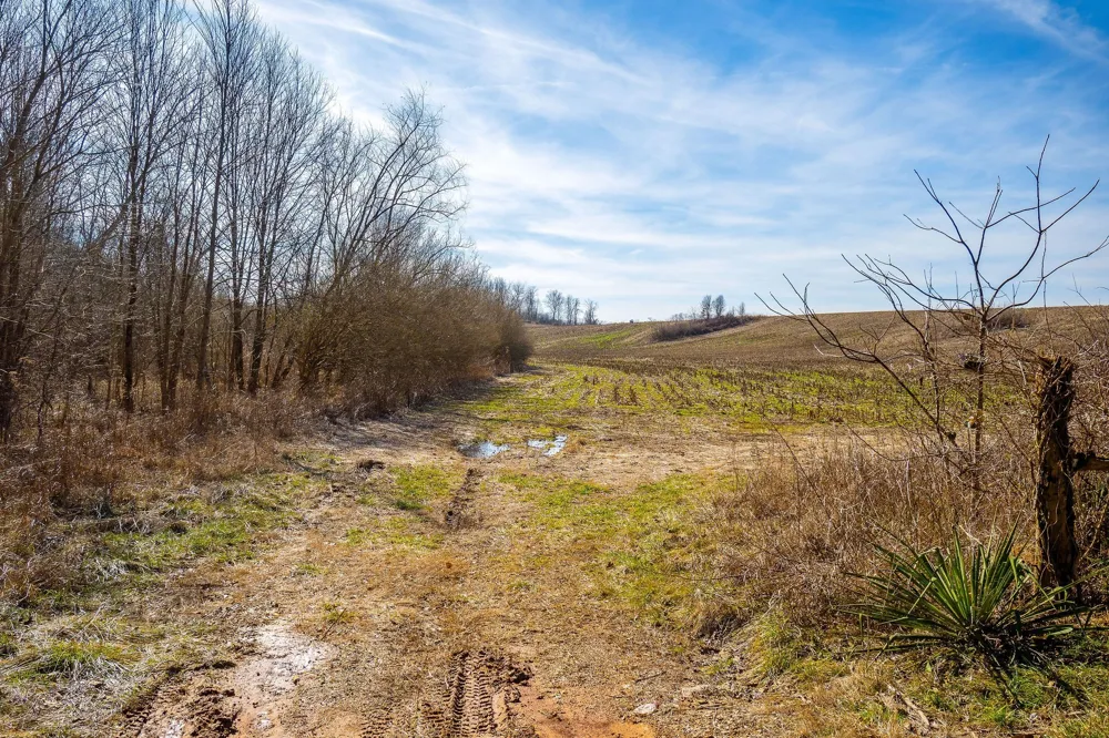 55 Indian Mound Rd Sparta, TN 38583