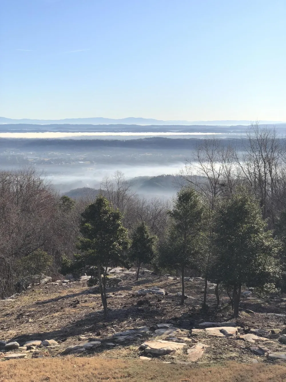 1001 Fleetwood Drive Lookout Mountain, GA 30750