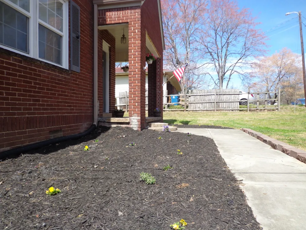 181 Washington Ave Camden, TN 38320