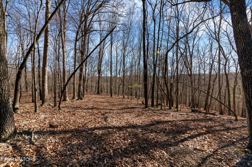 150 Clear Branch Rd N Loudon, TN 37774