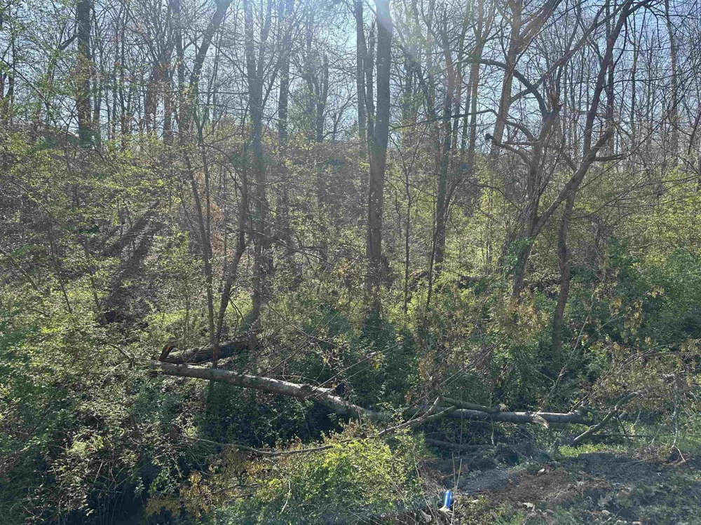 0 CRUMP LANDING RD Crump, TN 38327